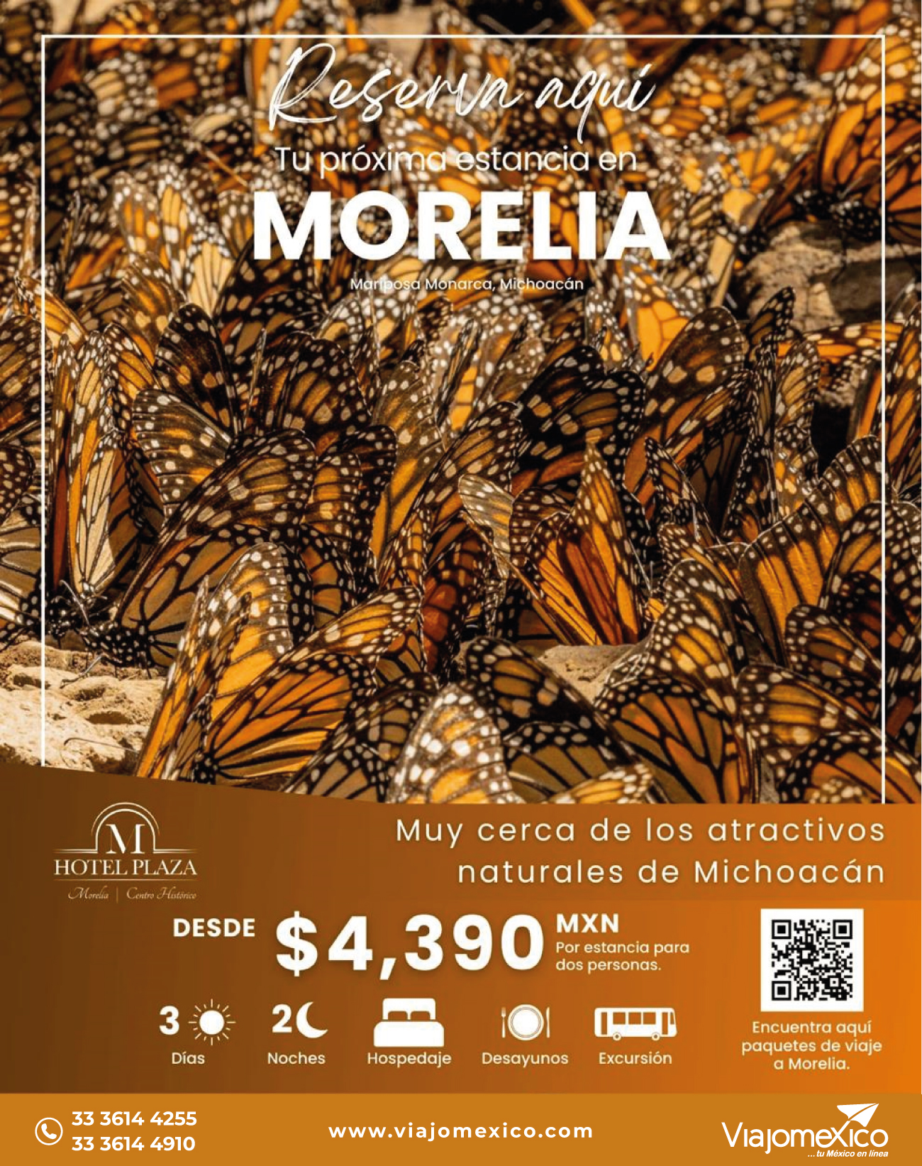 Plaza Morelia Mariposa 20 Nov 25_Mesa de trabajo 1